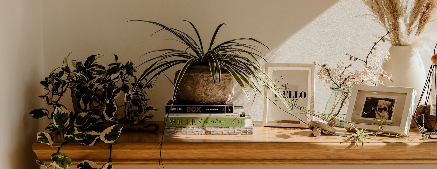bureau top decorated with potted plants, books and framed pictures