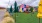 a group of colorful flags